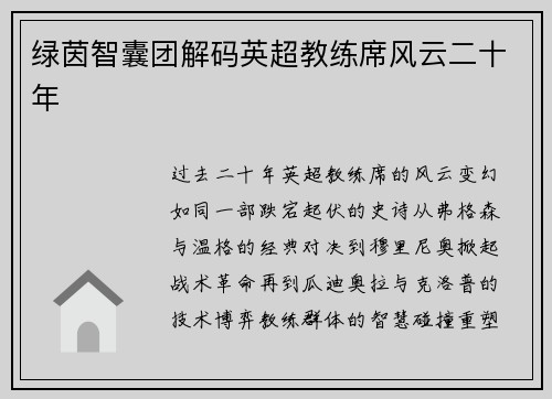 绿茵智囊团解码英超教练席风云二十年