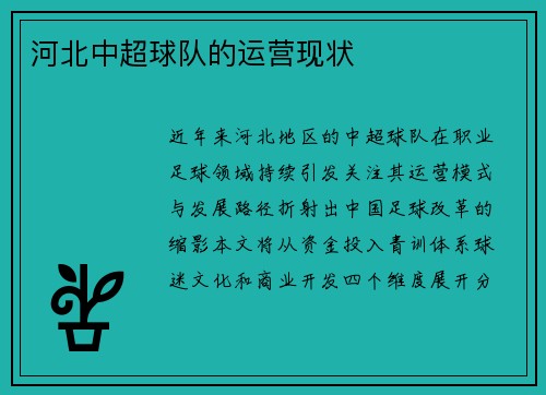 河北中超球队的运营现状