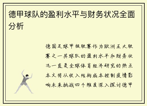 德甲球队的盈利水平与财务状况全面分析